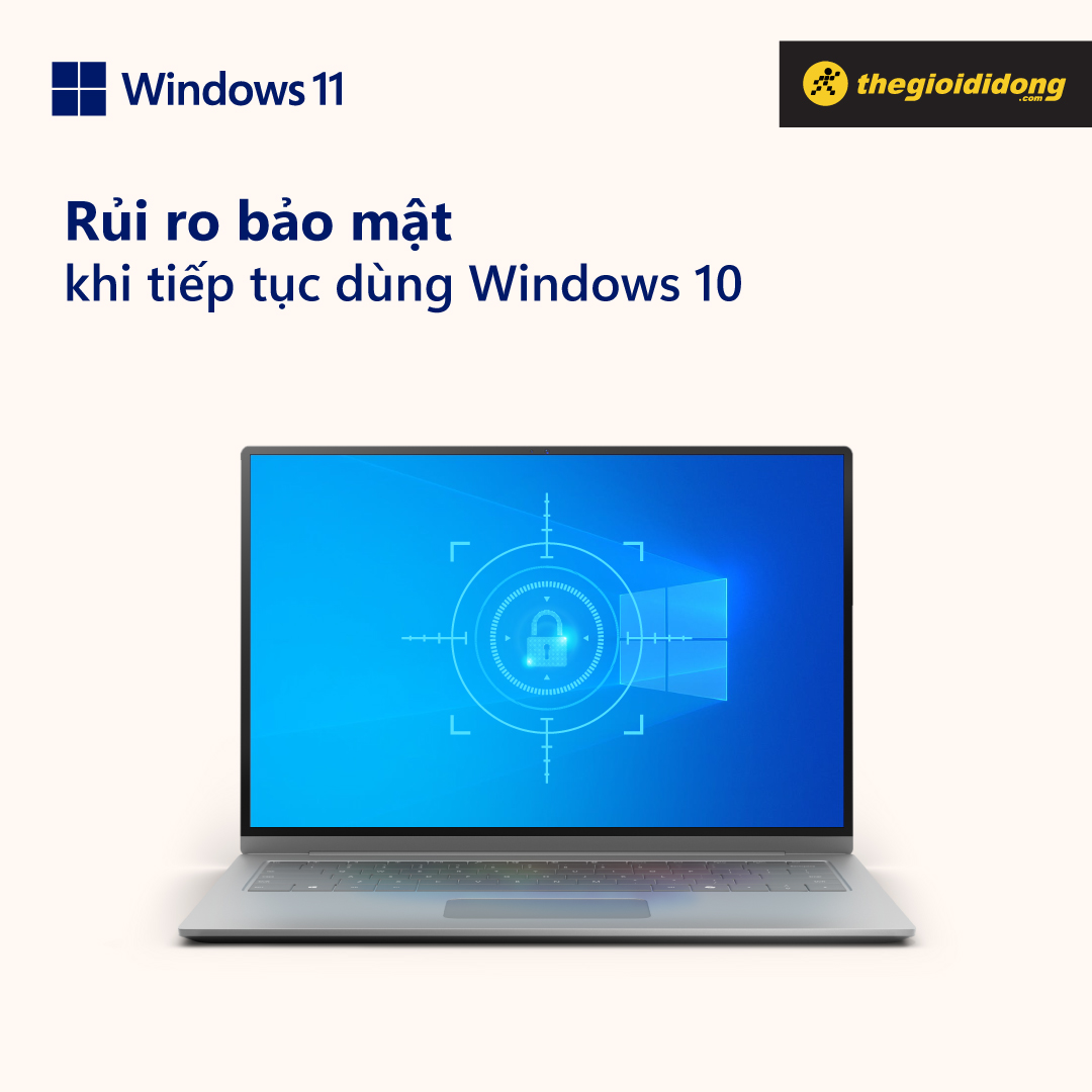 Windows 11