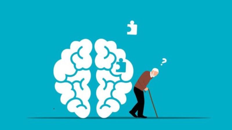 Bạch linh có thể giúp chống lại bệnh Alzheimer