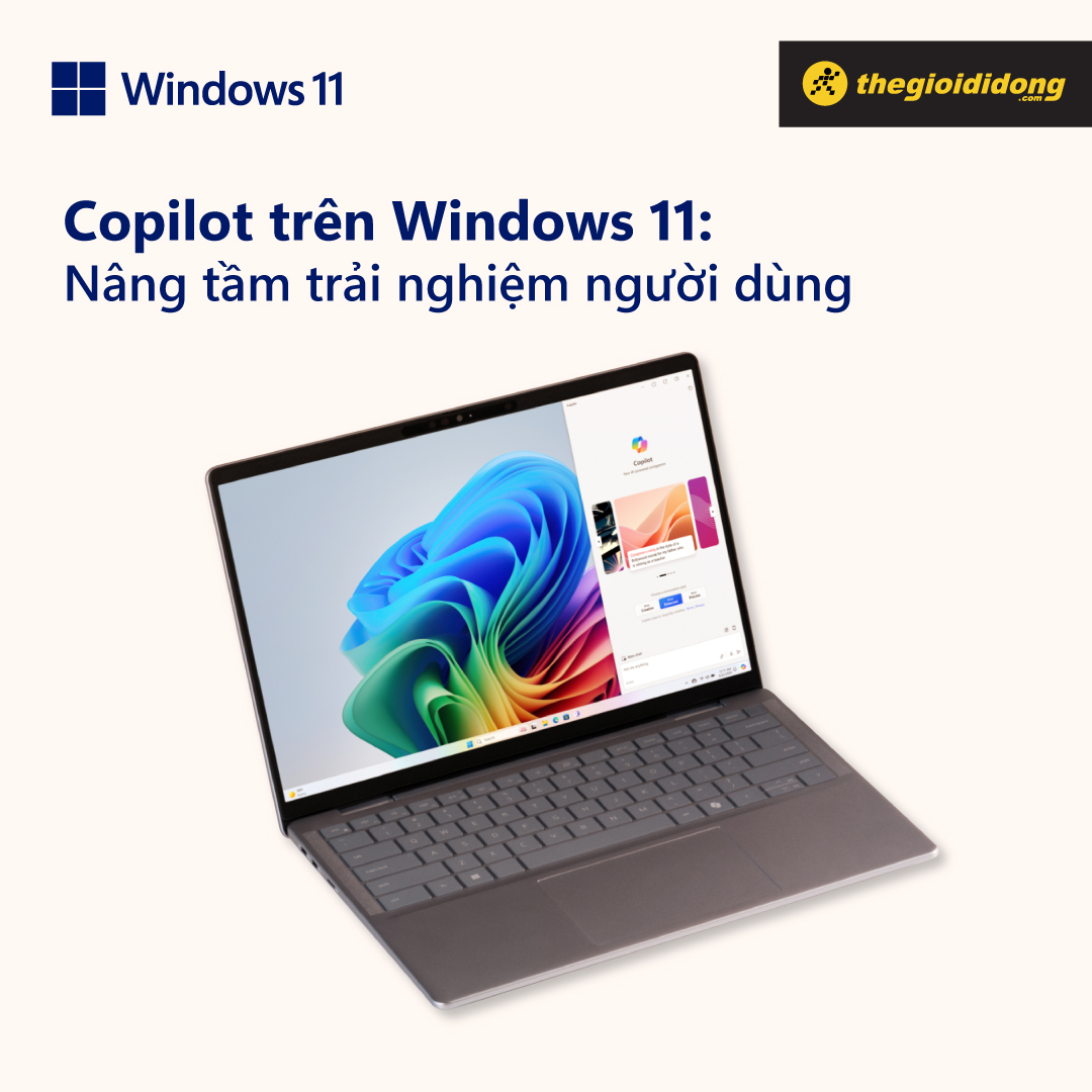 Windows 11