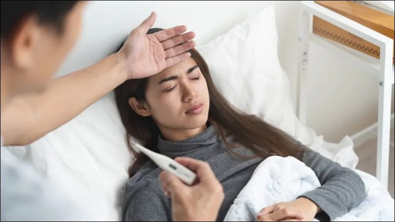Bời lời có khả năng hạ sốt hiệu quả