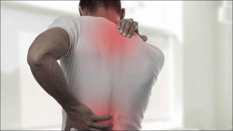 Các nghiên cứu in vivo cho thấy lá bời lời có khả năng giảm đau hiệu quả