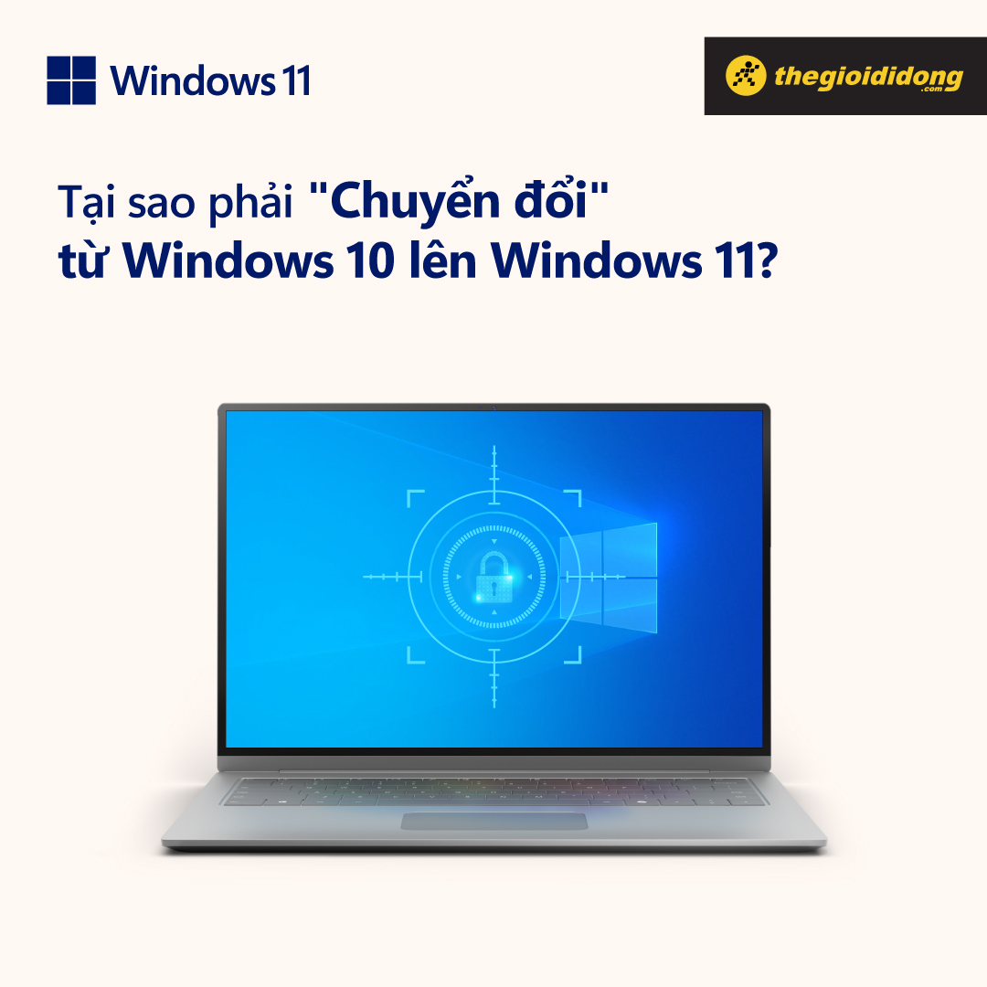 Windows 11