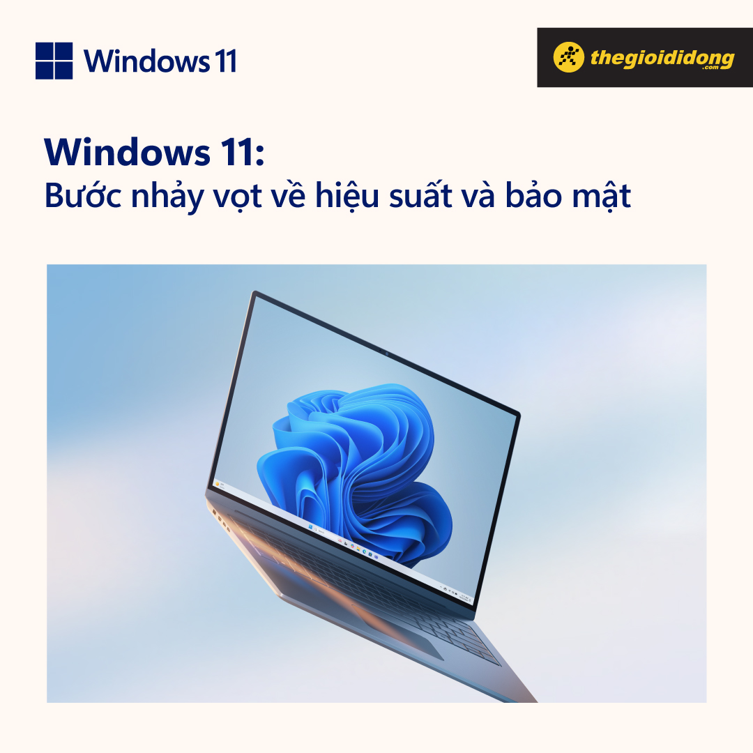 Windows 11