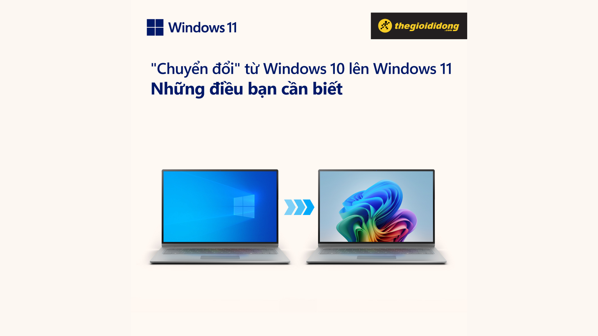 Windows 11