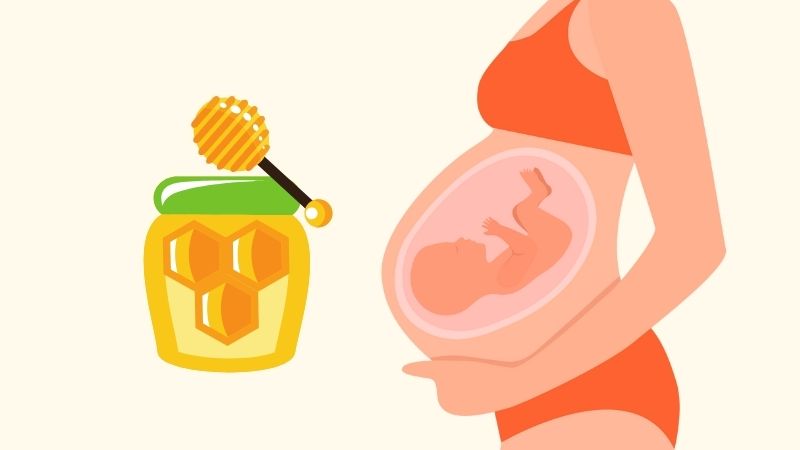Thành phần dinh dưỡng có trong mật ong rất tốt cho phát triển của thai nhi