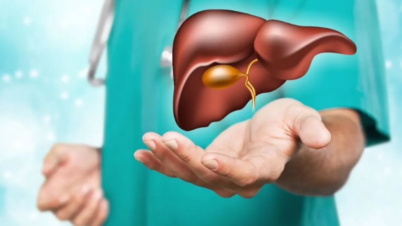 Rễ cây xáo tam phân có tác dụng tích cực trong việc bảo vệ gan
