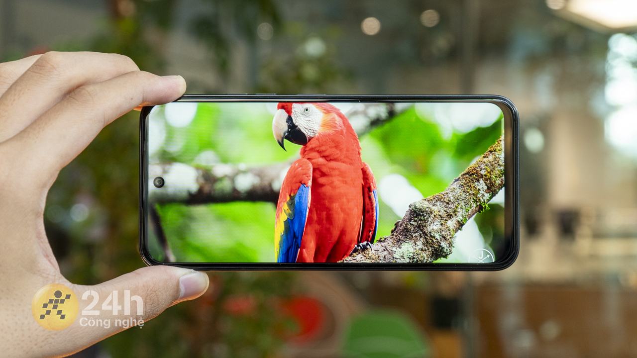 TECNO SPARK 30C Transformer Edition được trang bị màn hình IPS kích thước 6.67 inch, độ phân giải HD+.