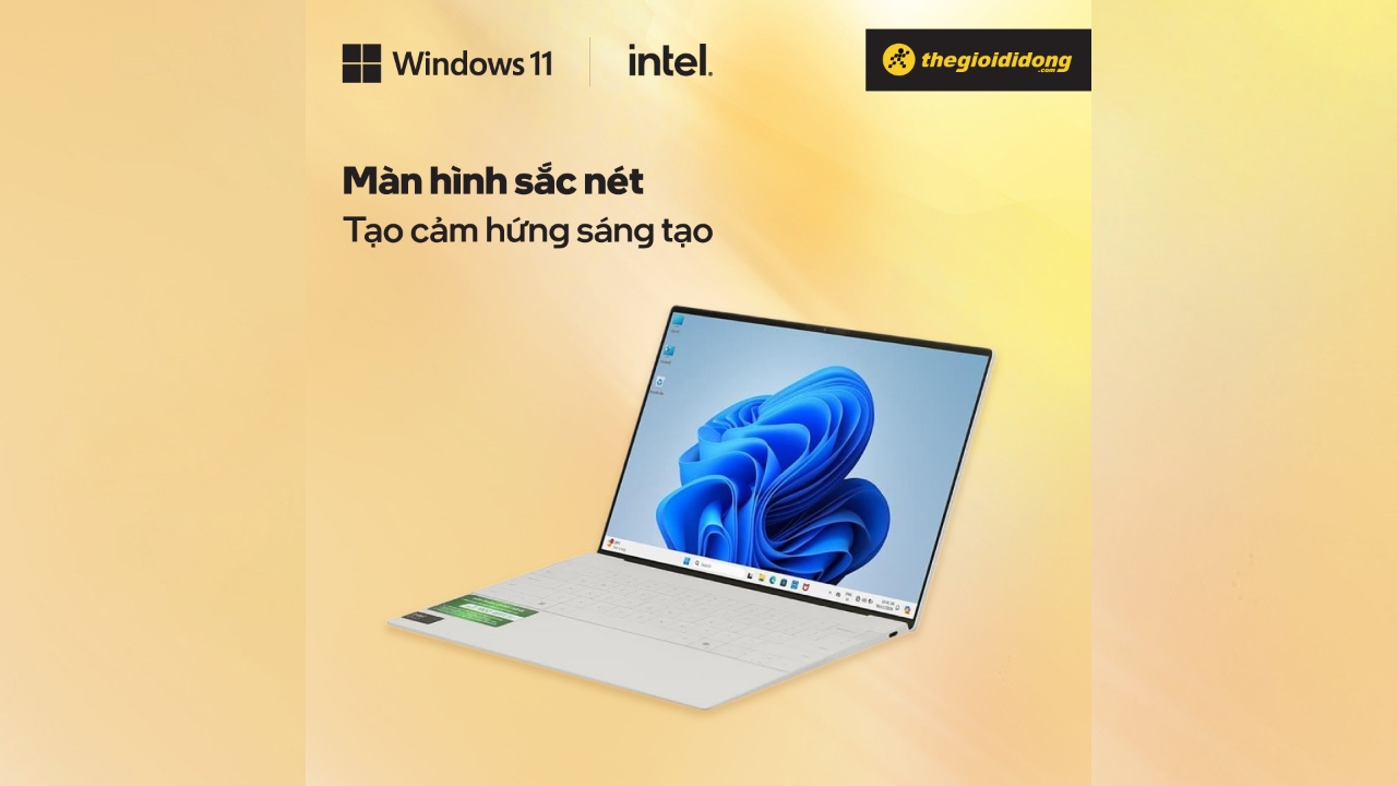 Dell XPS 13 9340 laptop toàn diện cho sinh viên và người trẻ năng động