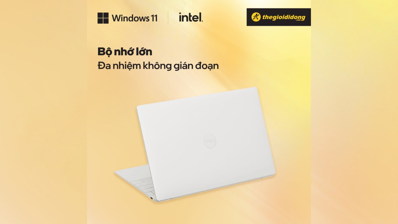 Dell XPS 13 9340 laptop toàn diện cho sinh viên và người trẻ năng động