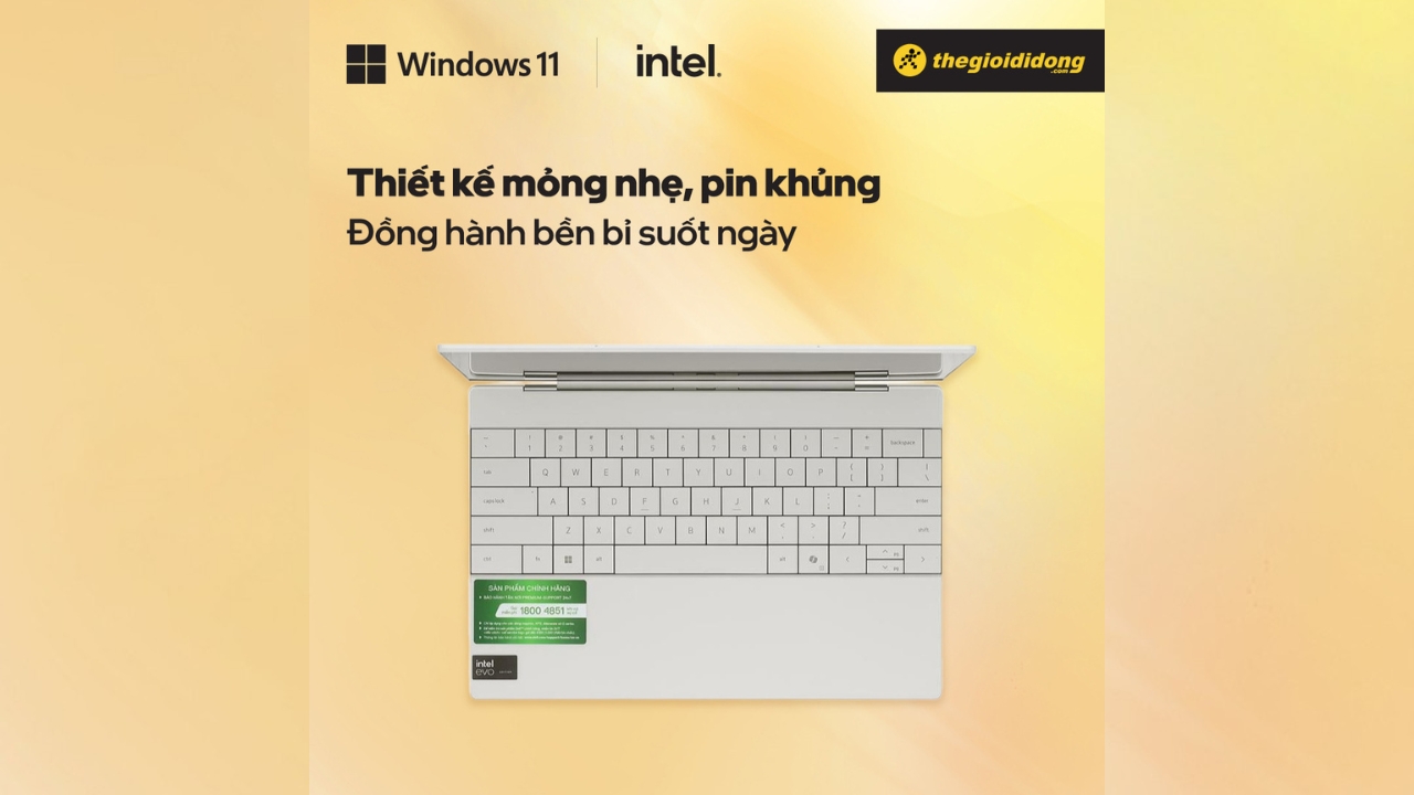 Dell XPS 13 9340 laptop toàn diện cho sinh viên và người trẻ năng động