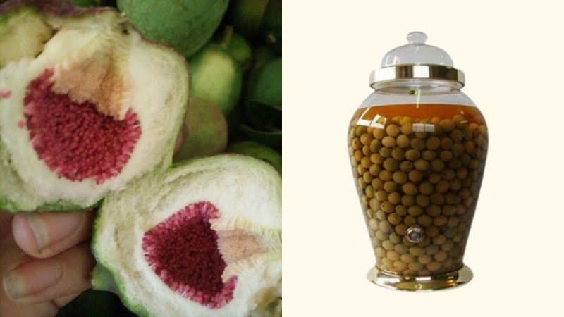 Quả trâu cổ ngâm rượu có tác dụng bổ thận, tráng dương