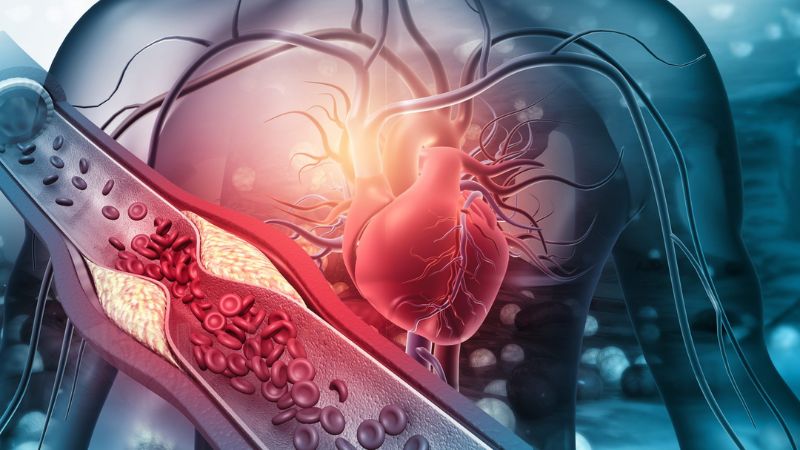 Huyền sâm giúp bảo vệ cấu trúc tim và ngăn ngừa bệnh tim mạch Huyền sâm giúp bảo vệ cấu trúc tim và ngăn ngừa bệnh tim mạch