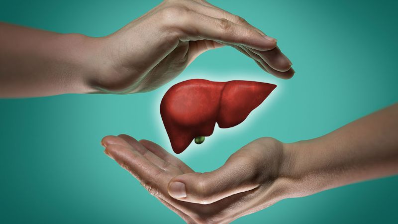 Huyền sâm bảo vệ gan nhờ hoạt chất rhamnopyranosyl vanilloyl, acteoside và geniposide Huyền sâm bảo vệ gan nhờ hoạt chất rhamnopyranosyl vanilloyl, acteoside và geniposide