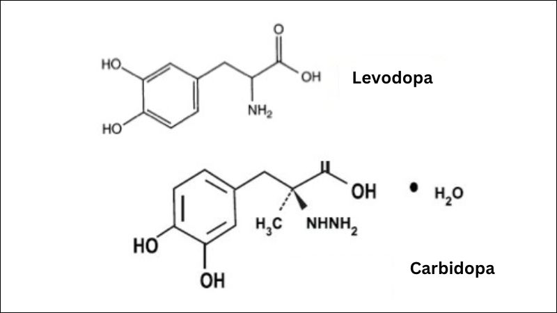 Levodopa thường kết hợp với Carbidopa để điều trị Parkinson