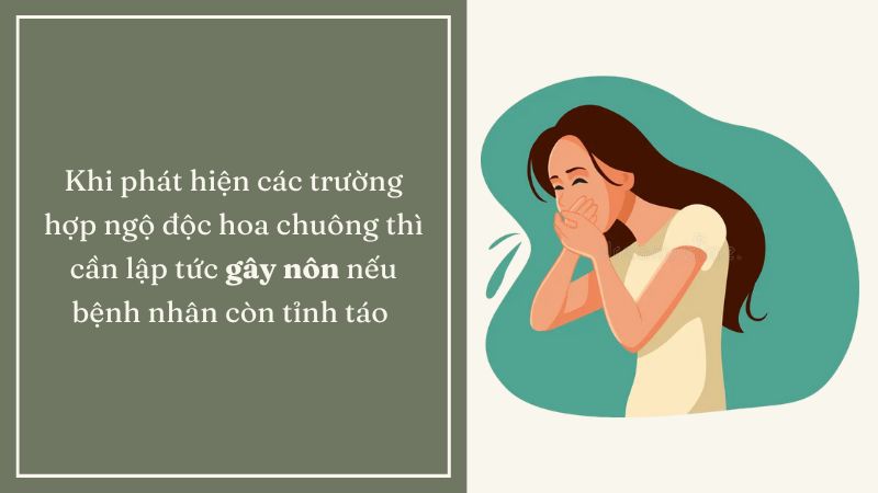 Phương pháp gây nôn được sử dụng để hạn chế chất độc từ hoa chuông ngấm vào cơ thể Phương pháp gây nôn được sử dụng để hạn chế chất độc từ hoa chuông ngấm vào cơ thể