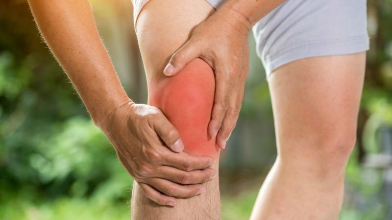 Hoa chuông chứa nhiều thành phần alkaloid tropane có tiềm năng trong việc giảm đau Hoa chuông chứa nhiều thành phần alkaloid tropane có tiềm năng trong việc giảm đau