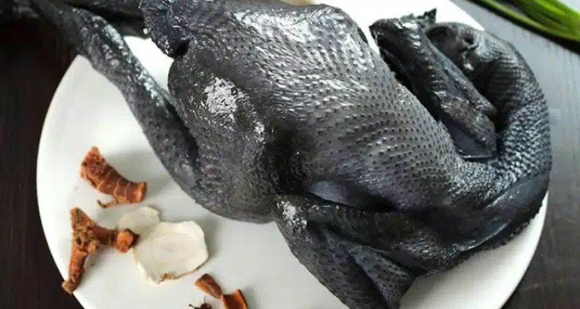 Gà ác có da màu đen, nặng từ 650gr đến 1kg