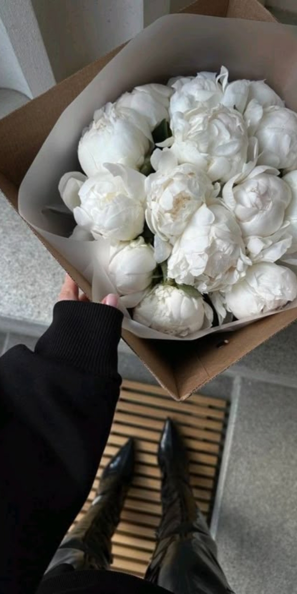 Hình nền hoa mẫu đơn màu trắng - 05 Hình nền hoa mẫu đơn màu trắng - 05