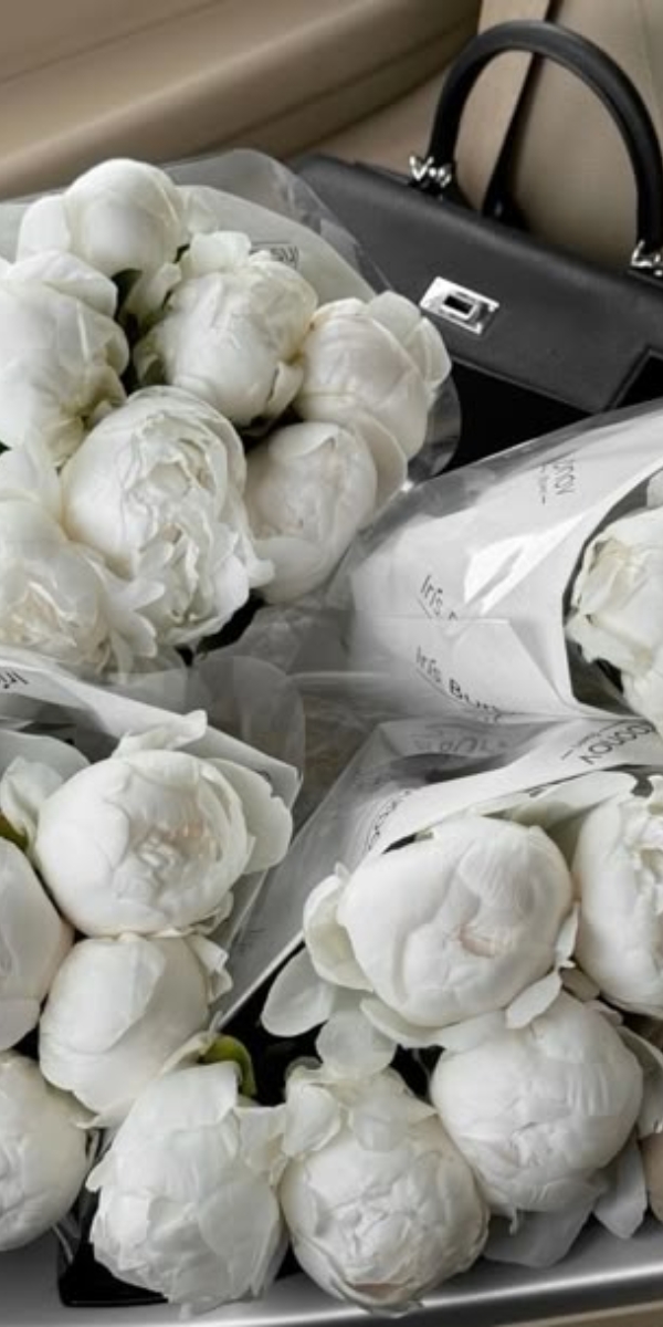 Hình nền hoa mẫu đơn màu trắng - 07 Hình nền hoa mẫu đơn màu trắng - 07