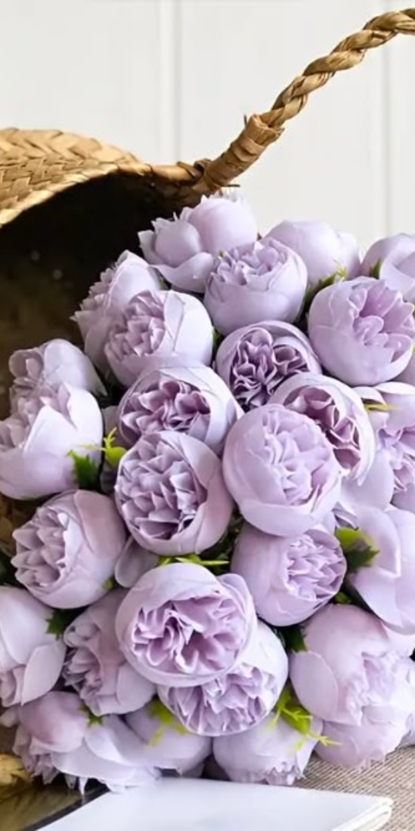 Hình nền hoa mẫu đơn màu tím - 08 Hình nền hoa mẫu đơn màu tím - 08
