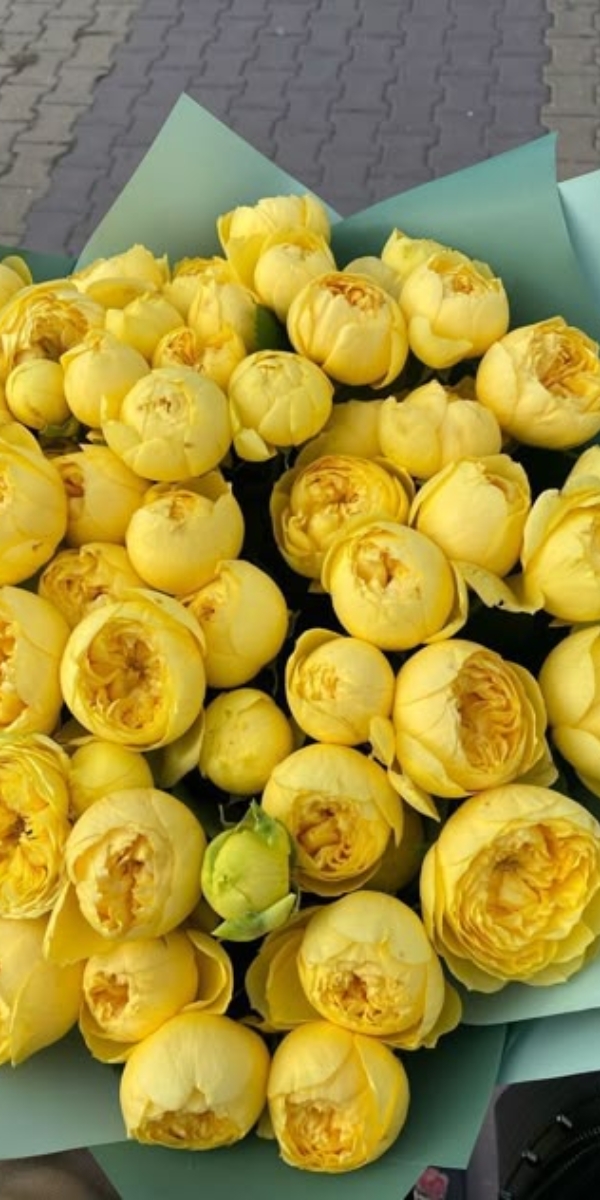 Hình nền hoa mẫu đơn màu vàng - 04 Hình nền hoa mẫu đơn màu vàng - 04