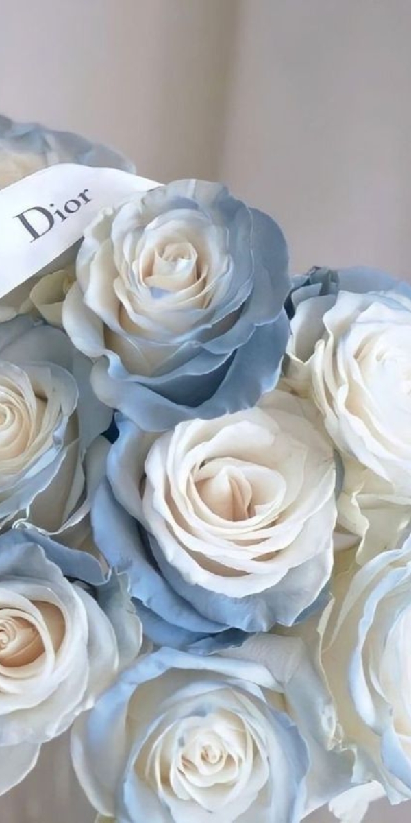 Hình nền hoa hồng màu xanh 1 Hình nền hoa hồng màu xanh 1