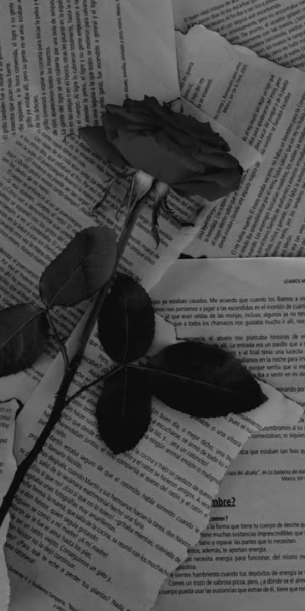 Hình nền hoa hồng màu đen 1 Hình nền hoa hồng màu đen 1