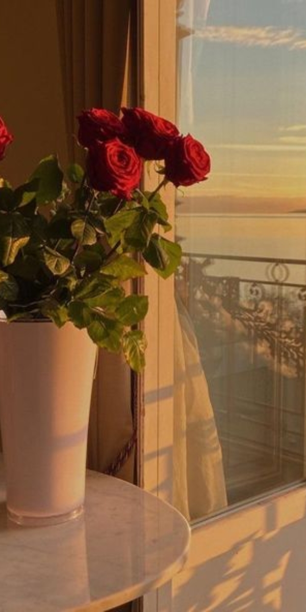 Hình nền hoa hồng màu đỏ 7 Hình nền hoa hồng màu đỏ 7