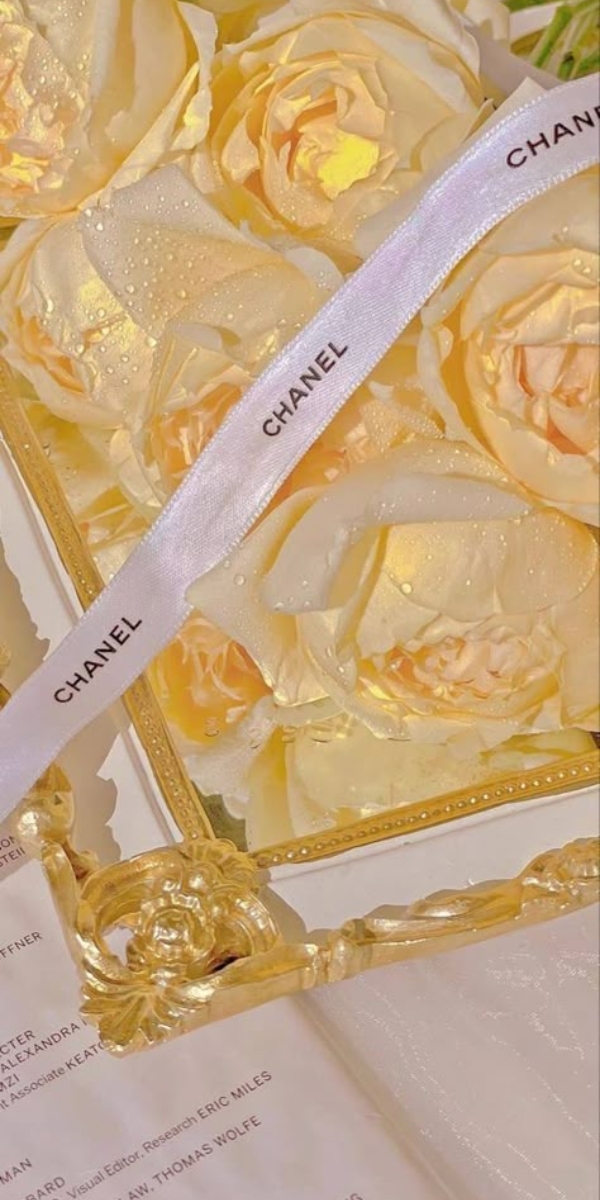 Hình nền hoa hồng màu vàng 7 Hình nền hoa hồng màu vàng 7