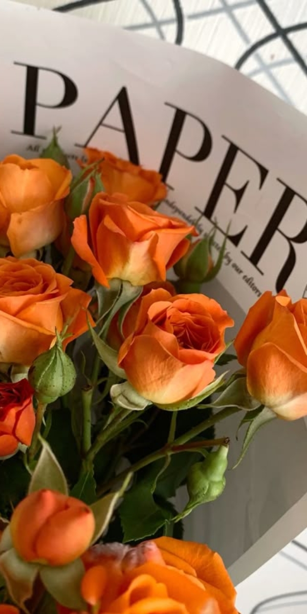 Hình nền hoa hồng màu cam 8 Hình nền hoa hồng màu cam 8