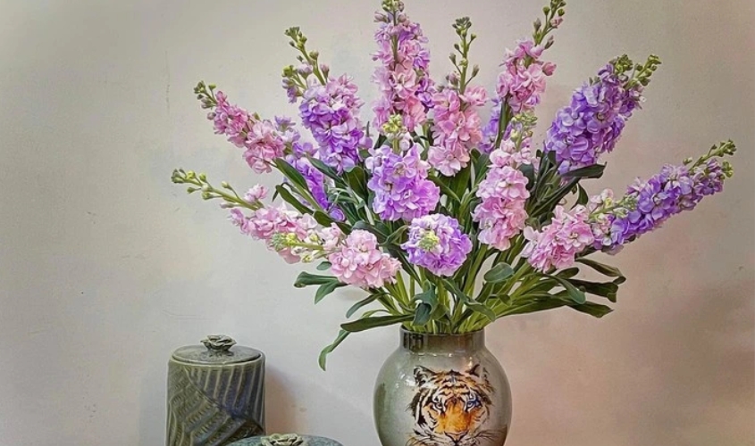 Mẫu cắm hoa phi yến trong bình đẹp