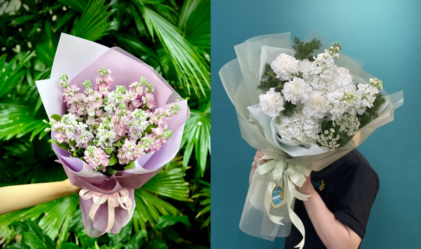 Bó hoa phi yến đẹp tặng người yêu