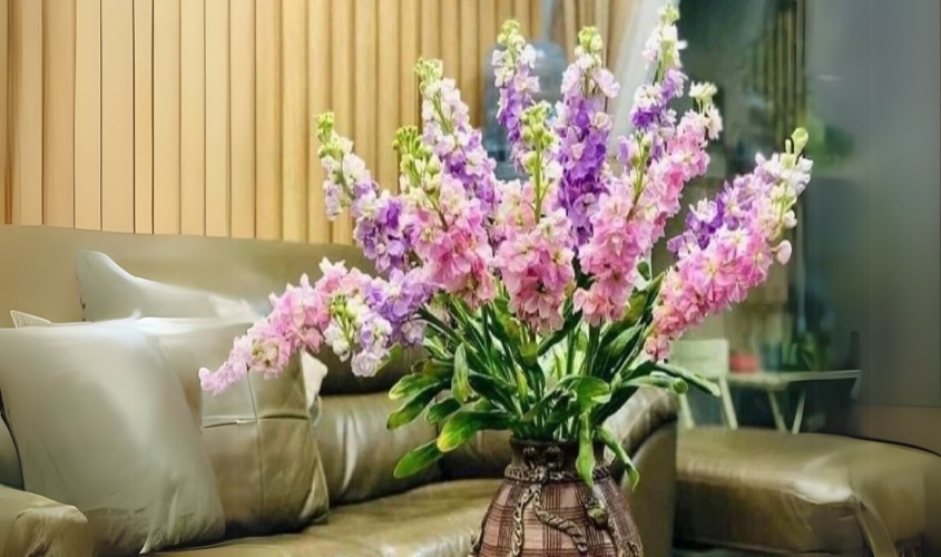 Mẫu cắm hoa phi yến đẹp trong nhà