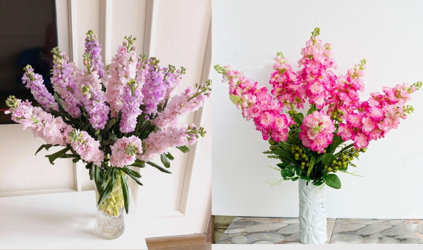 Mẫu cắm hoa phi yến đẹp 2025