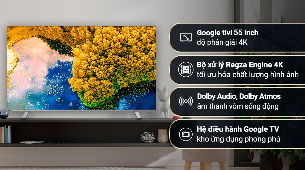 Toshiba Google TV 55C350LP