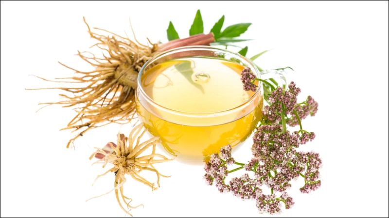 Cây nữ lang có tác dụng chống co thắt cơ trơn và giảm đau