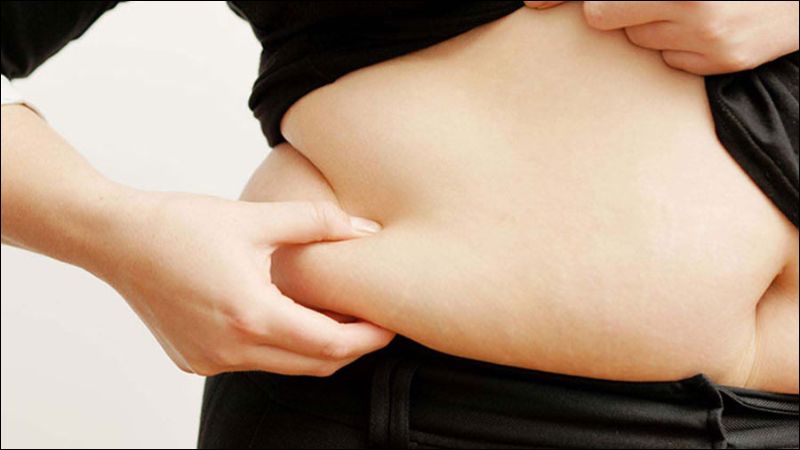 Lá cây hợp hoan bì có tiềm năng hỗ trợ phòng ngừa và điều trị béo phì