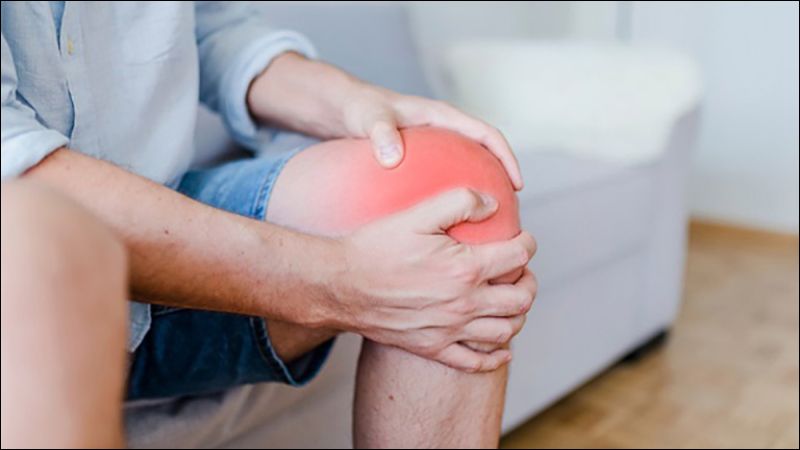 Hợp hoan bì có tiềm năng hỗ trợ kháng viêm