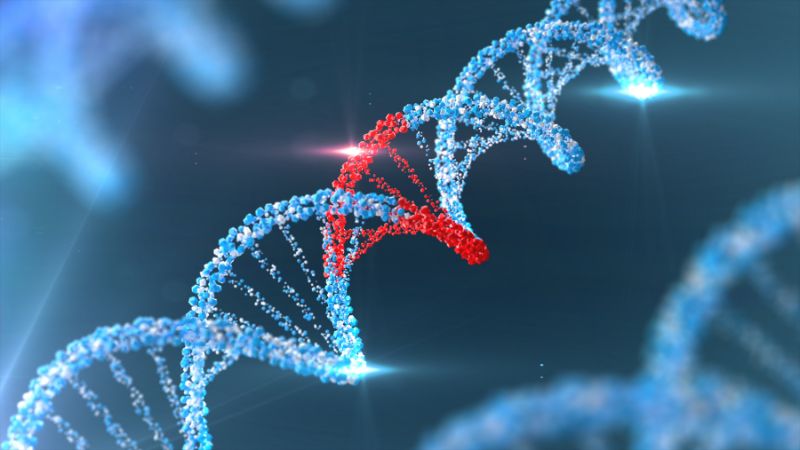 NIPT hoạt động dựa trên nguyên tắc phân tích các đoạn DNA tự do của thai nhi có trong máu mẹ