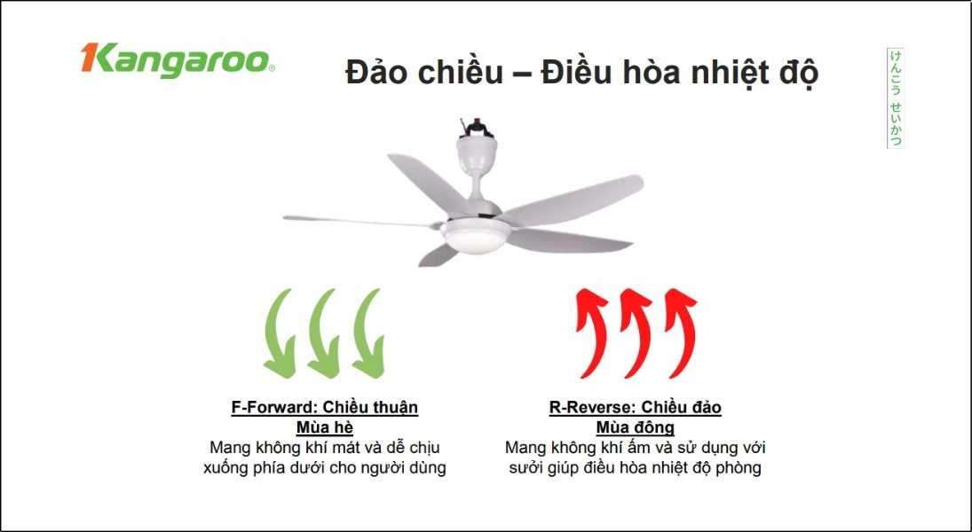 Kangaroo là một trong những thương hiệu Việt phổ biến ở phân khúc quạt trần tầm trung