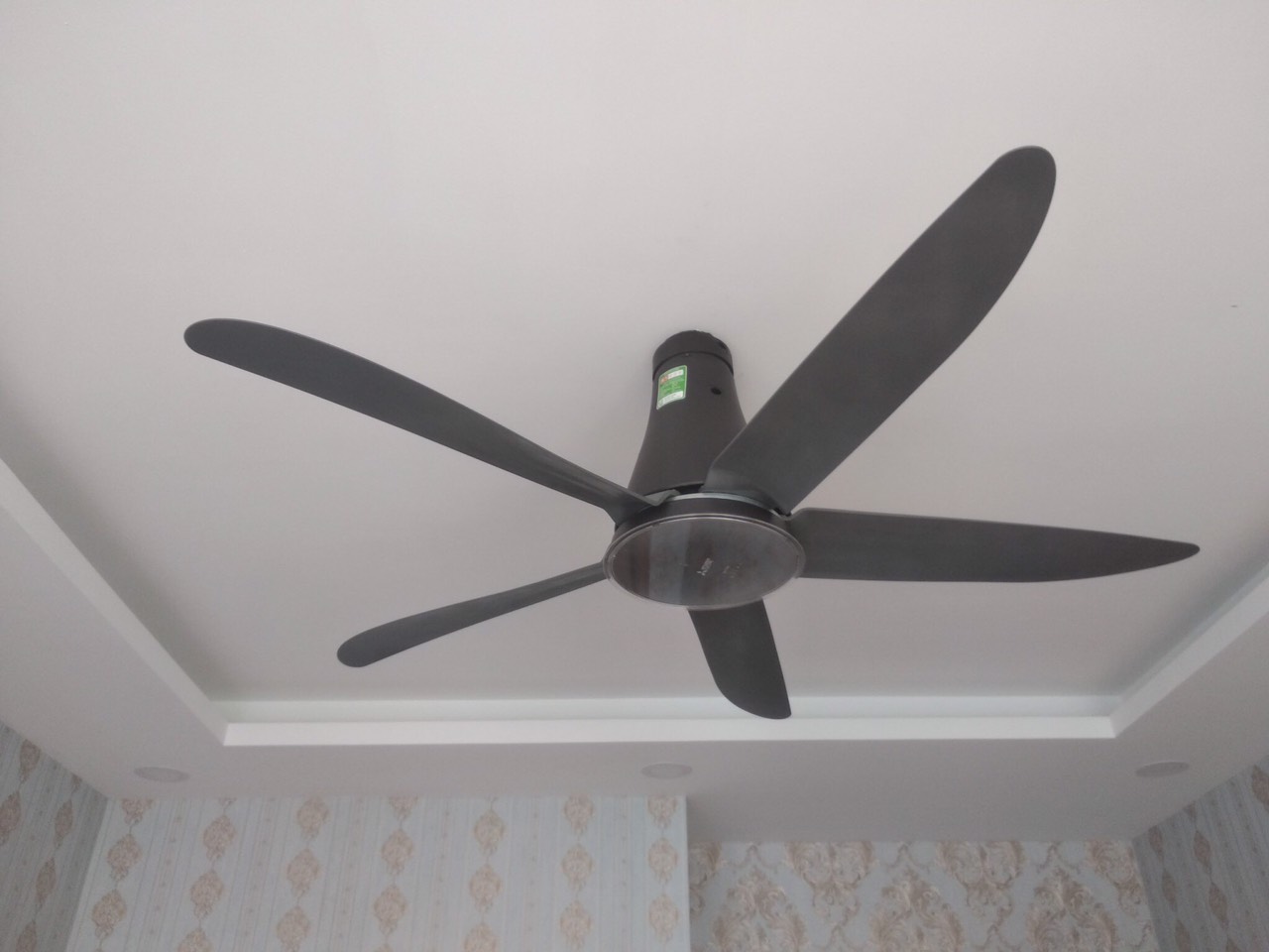 Quạt trần Mitsubishi Electric 5 cánh C56-RA5 CY-GY