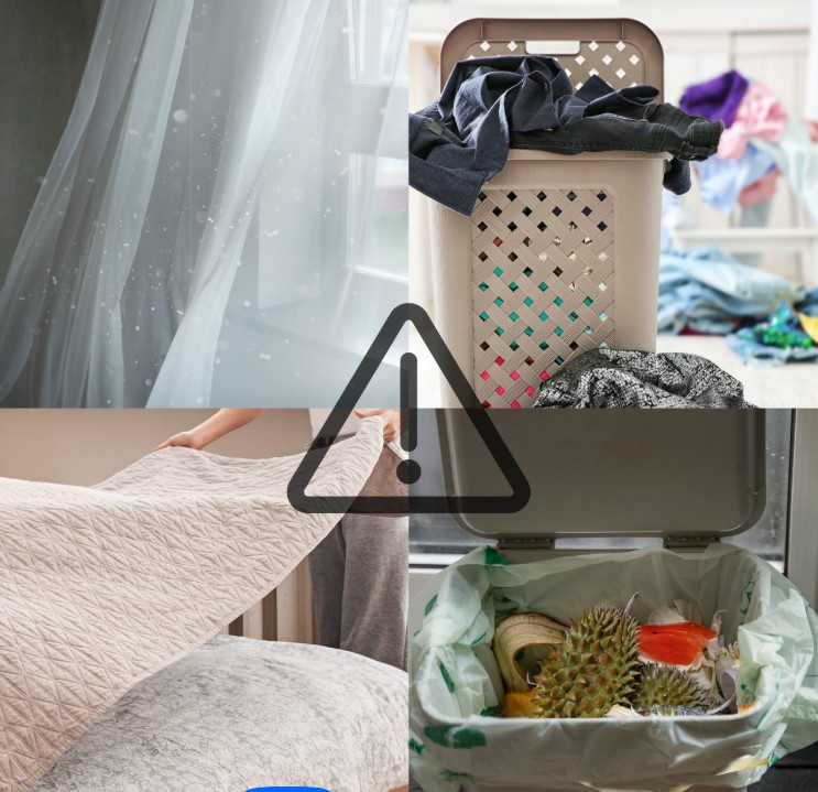 Không khí trong nhà có thể chứa bụi mịn PM2.5, mùi, vi khuẩn và nấm mốc gây hại sức khỏe