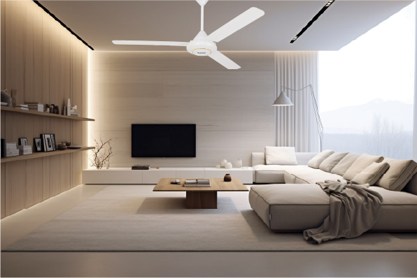 Quạt trần Rapido có thiết kế hiện đại và sang trọng, có nhiều sự lựa chọn từ 3 cánh đến 5 cánh