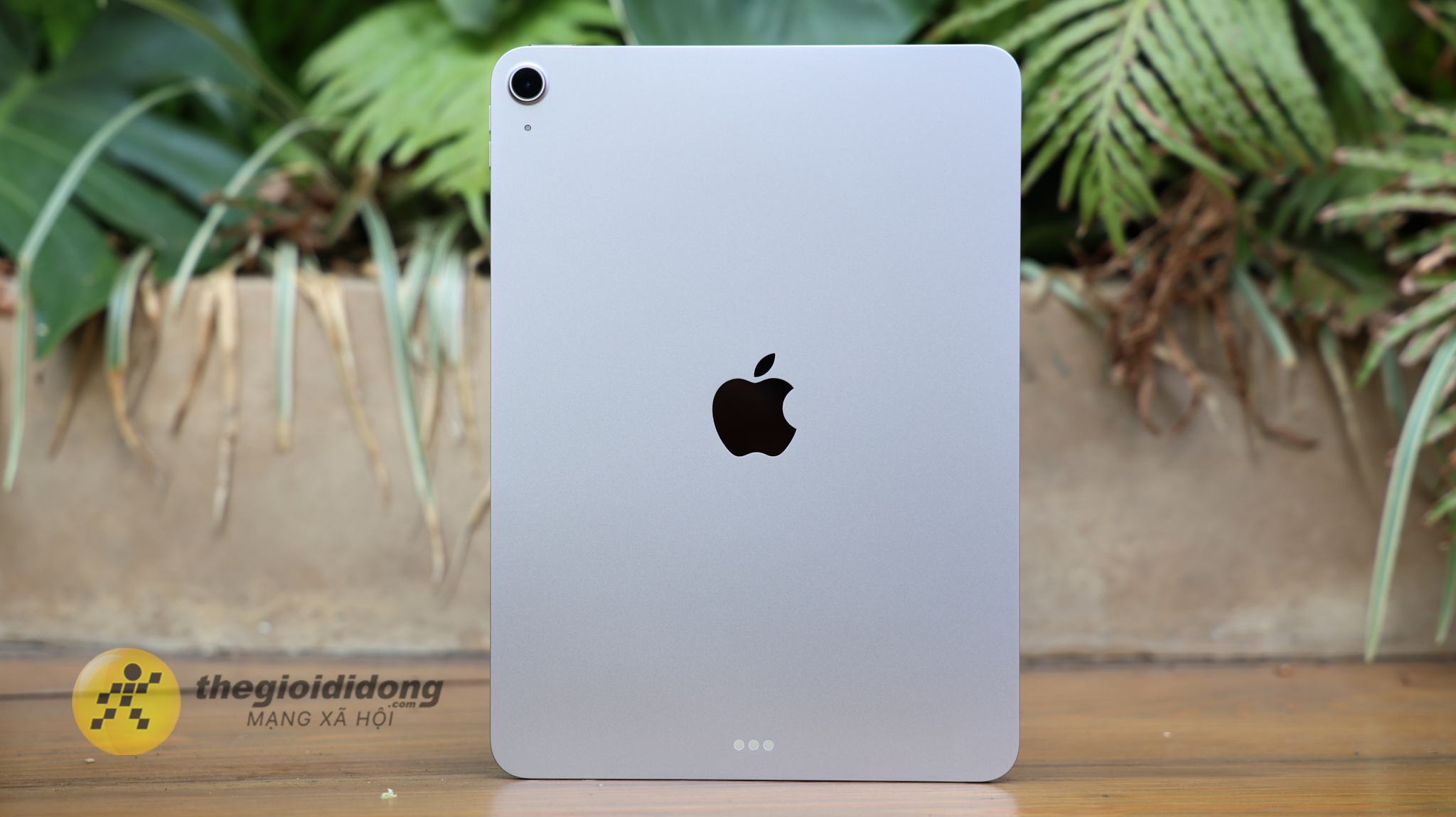 iPad iPad