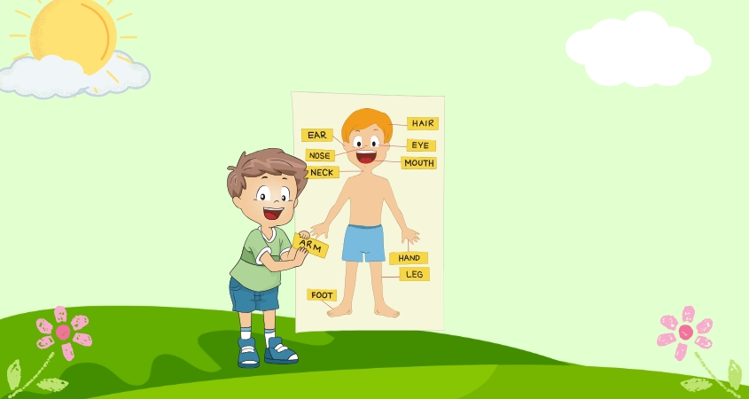 Hình minh hoạ câu đố vui chủ đề cơ thể