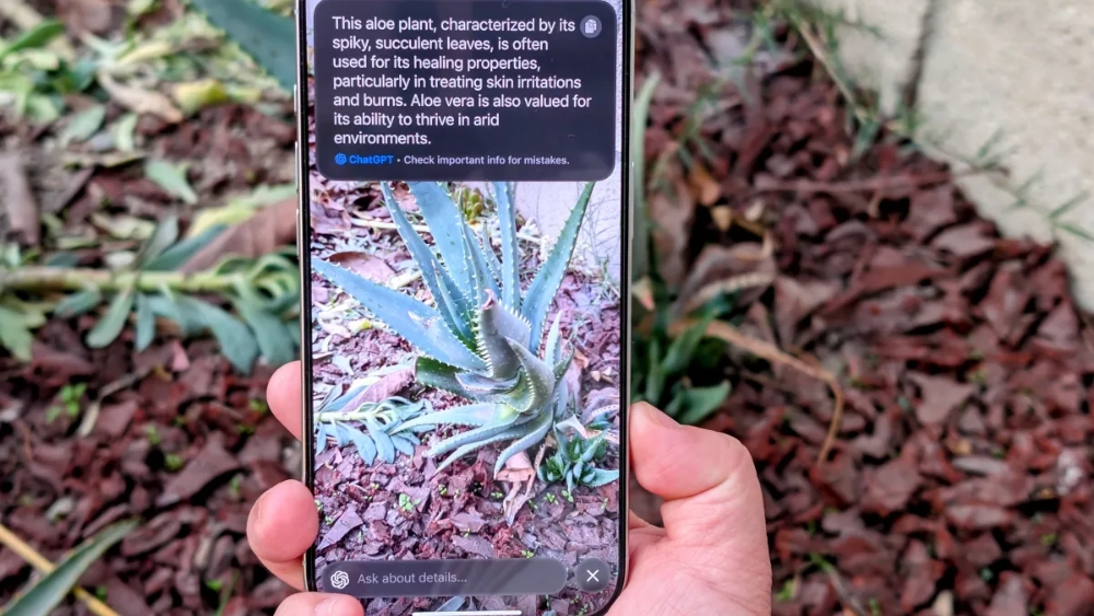 iPhone sẽ tự động nhận diện v&agrave; hiển thị th&ocirc;ng tin chi tiết