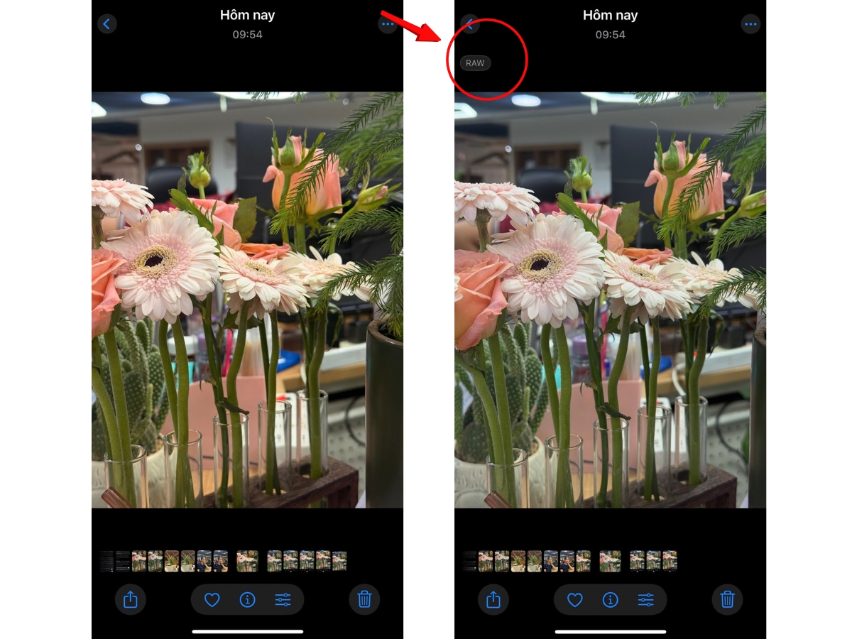 Ảnh sẽ được lưu ở định dạng ProRAW
