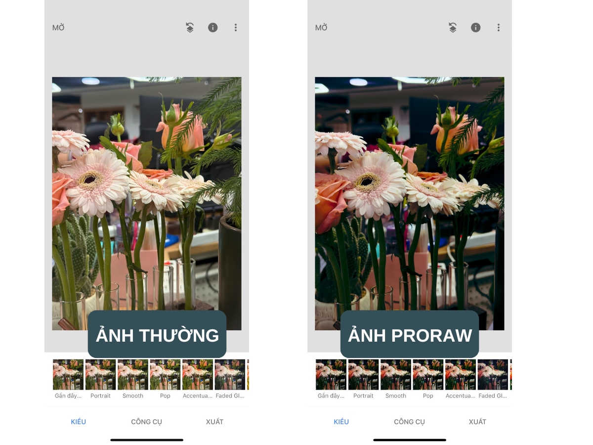 Chỉnh sửa ảnh ProRAW tr&ecirc;n Snapseed