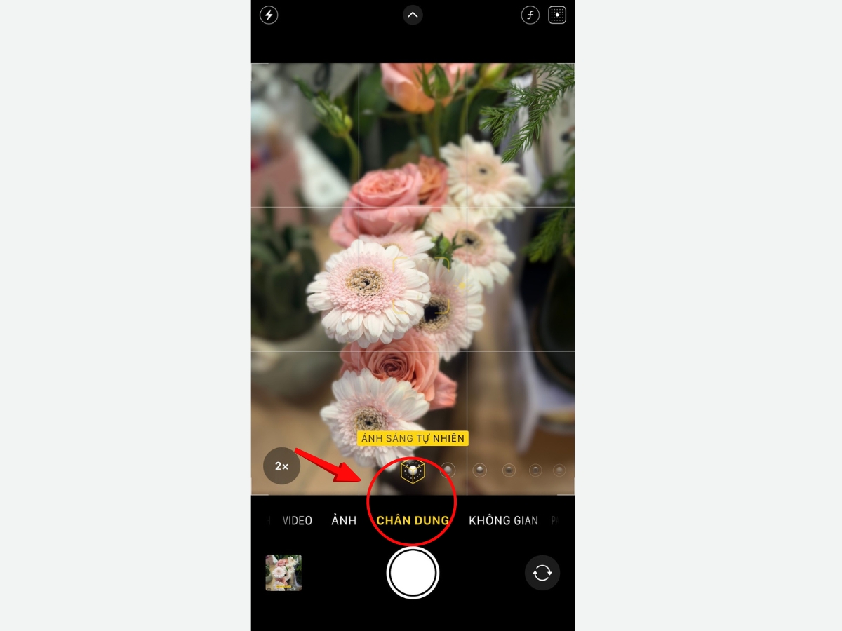 Vuốt để chọn chế độ Portrait (Ch&acirc;n dung)