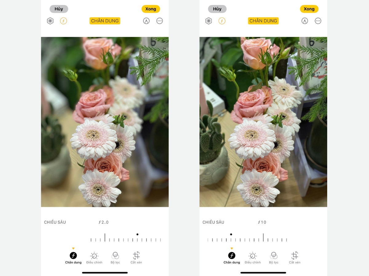 Depth Control l&agrave; t&iacute;nh năng cho ph&eacute;p bạn điều chỉnh độ mờ của hậu cảnh